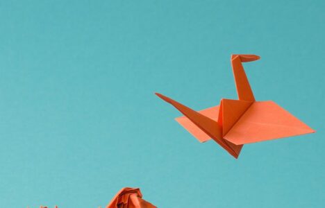 opportunities-paper-fly-bird