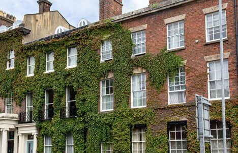 Ivy-covered red brick properties with sash windows on street in Liverpool's Georgian Quarter