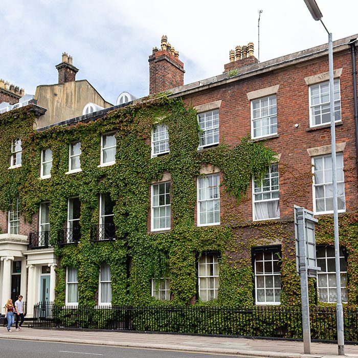 Ivy-covered red brick properties with sash windows on street in Liverpool's Georgian Quarter