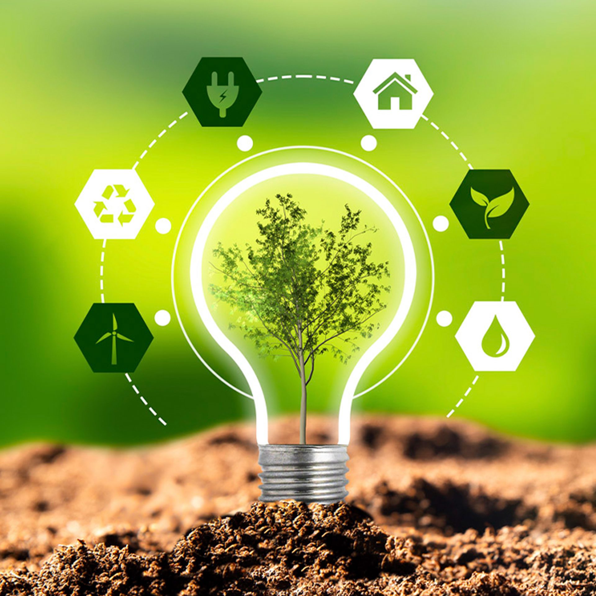 Environmental protection, renewable, sustainable energy sources. Plant growing in the bulb concept