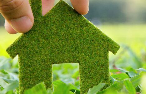 ECO-plant-house-model