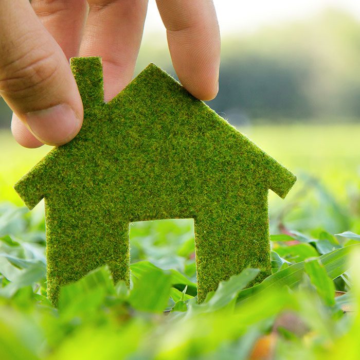 ECO-plant-house-model