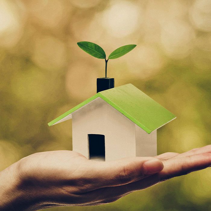 Green house model in a hand