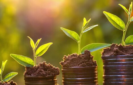 Coins in the earth with sprouting plants to signify green investment and growing returns through eco-property