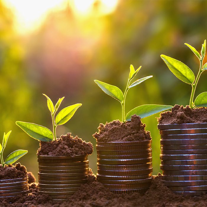 Coins in the earth with sprouting plants to signify green investment and growing returns through eco-property