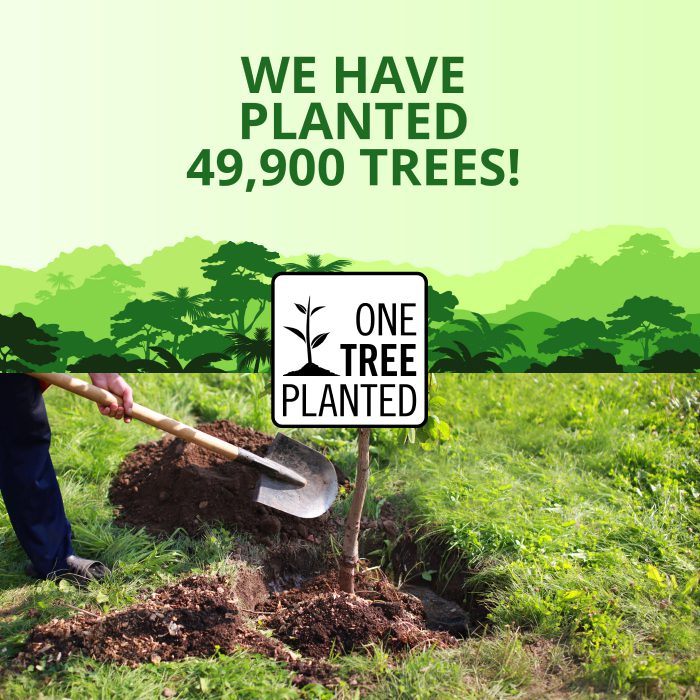 One Tree Planted1