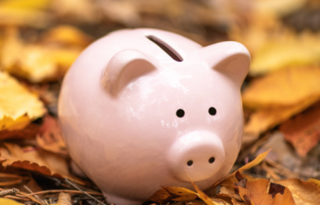 Piggy bank in fallen leaves representing the Autumn Budget
