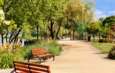 park with wooden benches on a beautiful sunny day